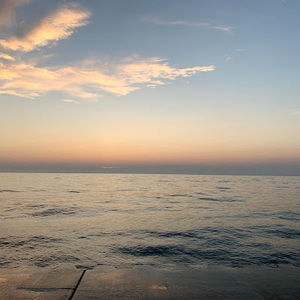 Meet your Posher, Leonardo